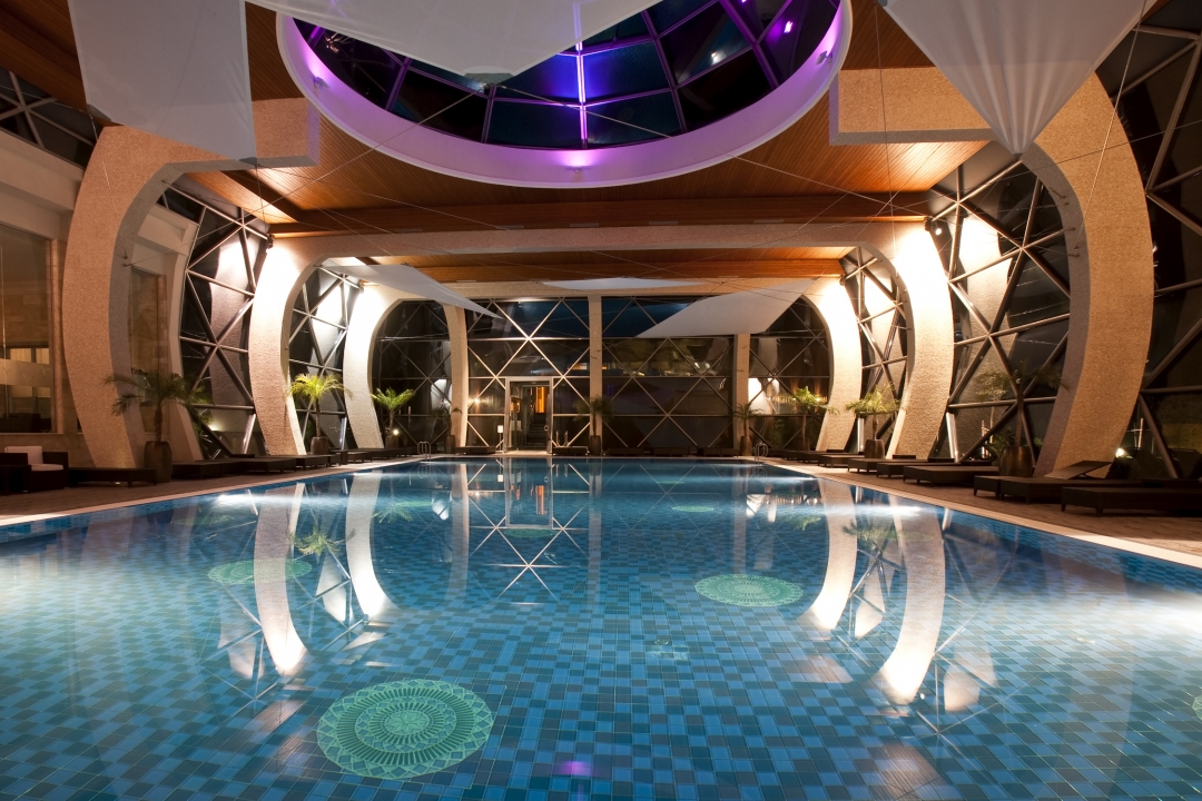 MOST WANTED TREATMENT